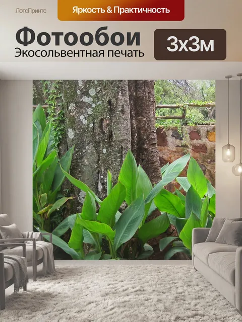 Фотообои Канны вокруг дерева