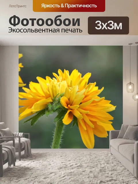 Фотообои Черноглазый профиль Сьюзан
