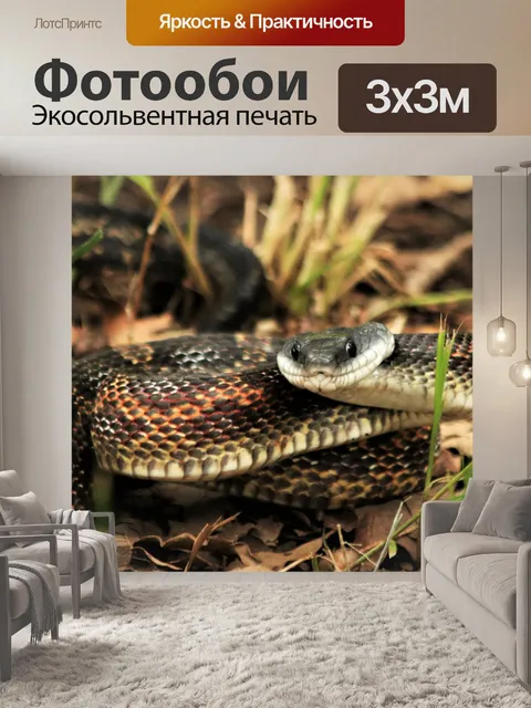 Фотообои Куриная змея крупным планом 2