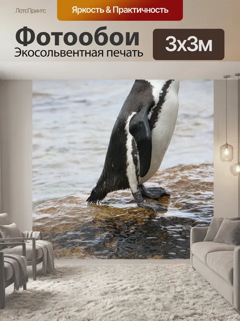 Фотообои Пингвин