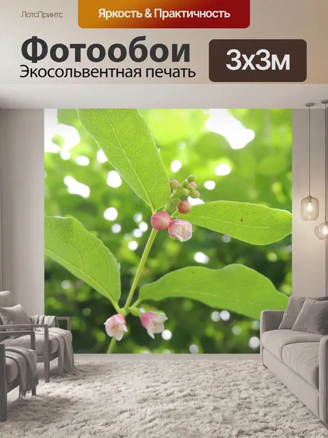 Фотообои Цвести