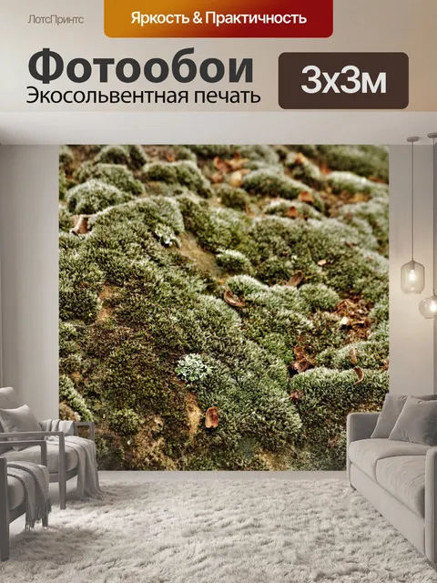 Фотообои Мох и лишайники крупным планом
