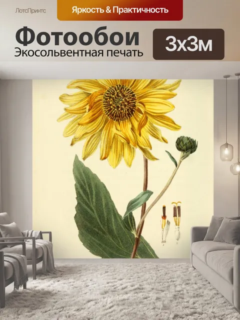 Фотообои Желтые лепестки цветка подсолнуха