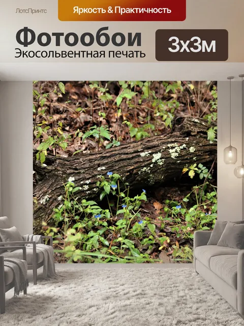 Фотообои Лог и полевые цветы в лесу