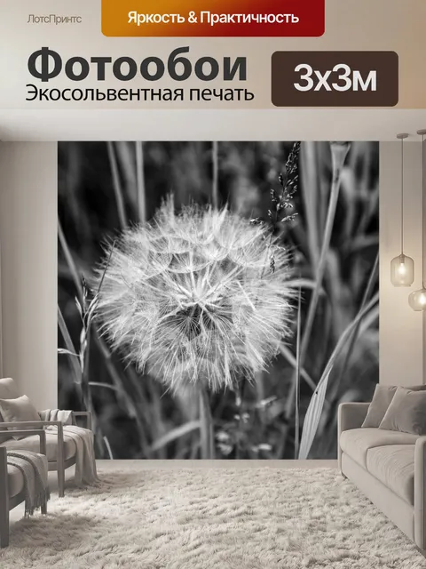 Фотообои одуванчик