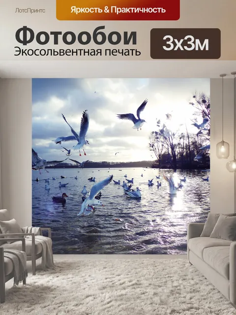 Фотообои Чайки śmieszki