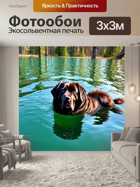 Фотообои изображение ньюфаундленда, плавающего в прозрачном озере с отражениями деревьев на воде