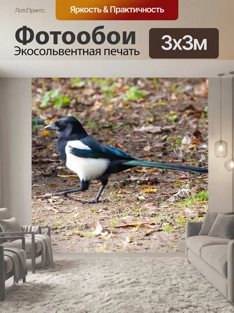 Фотообои Птица