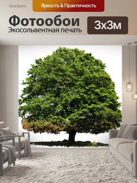 Фотообои Изолированный