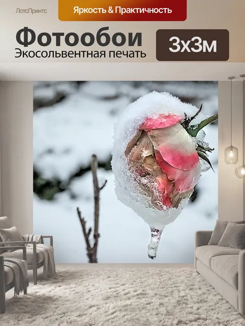Фотообои Роза
