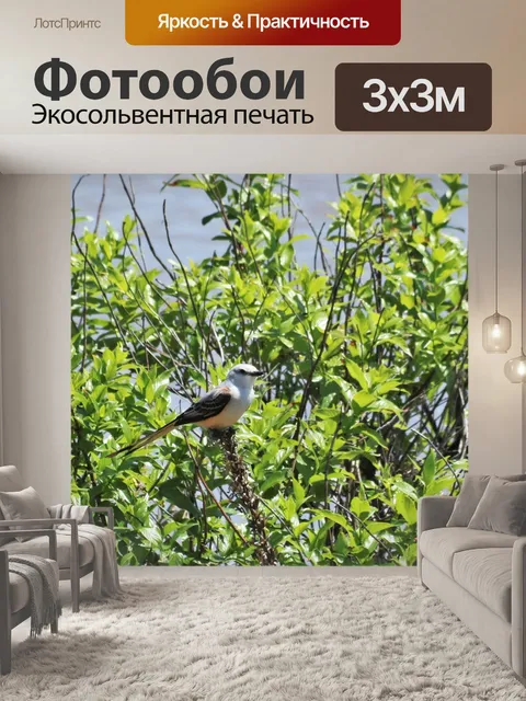 Фотообои Хвост мухоловка в дереве