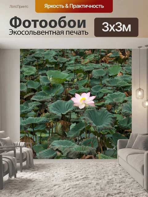 Фотообои Белый лотос