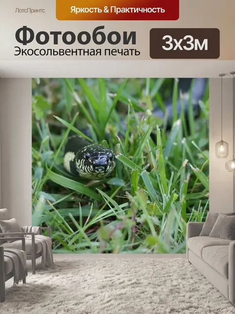 Фотообои Король змея
