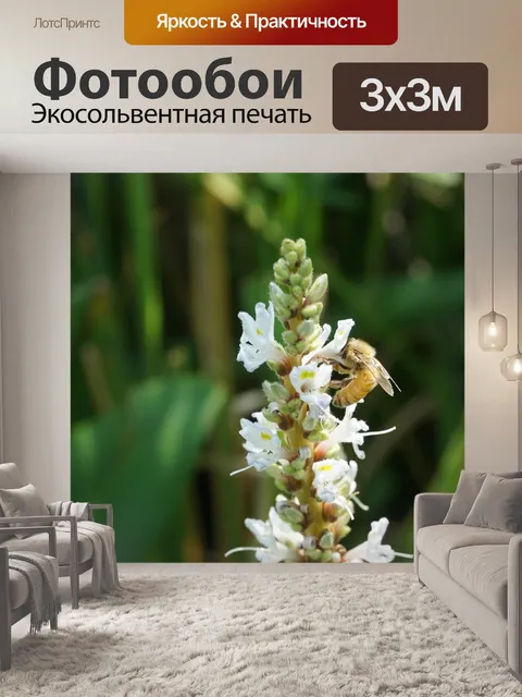Фотообои Весенняя прогулка