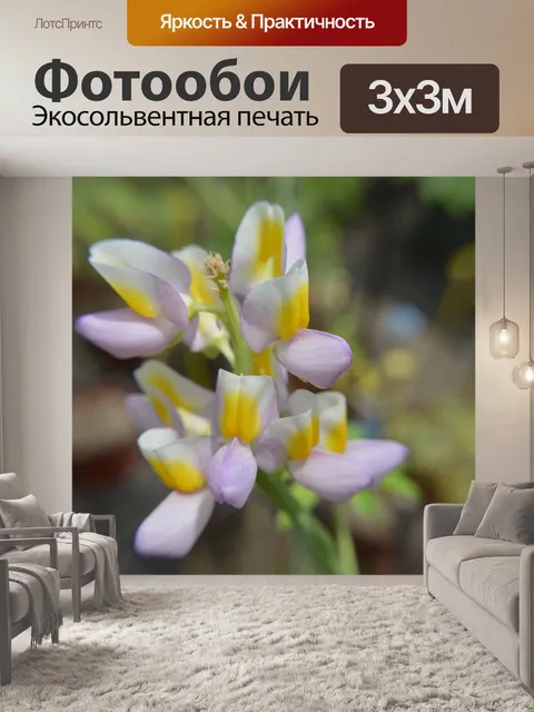 Фотообои Андский люпин
