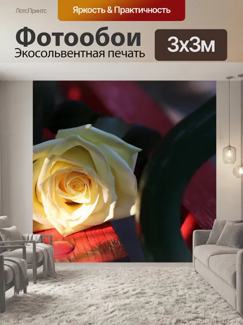 Фотообои Желтые розы на красном стенде