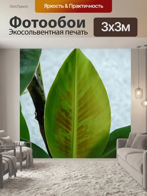 Фотообои Лист
