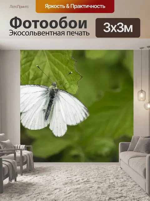 Фотообои Бабочка