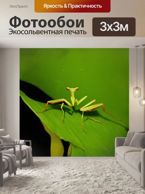 Фотообои на большом зеленом листе