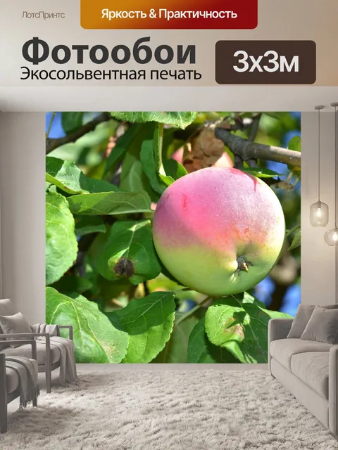 Фотообои Красное яблоко из сада