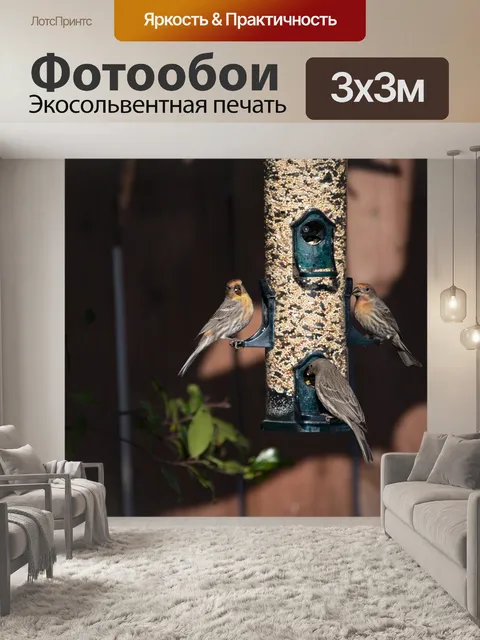 Фотообои Кормушка для домашних зябликов