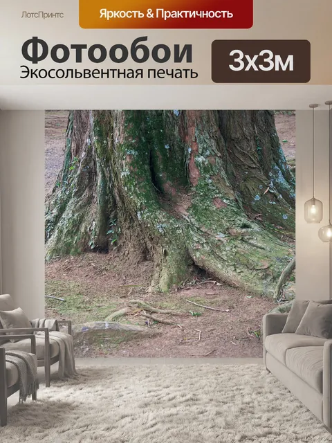 Фотообои основание большого ствола дерева с корня