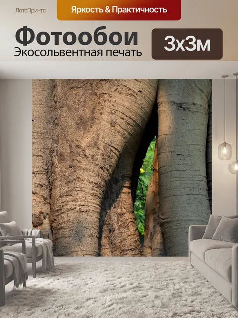 Фотообои Банановое дерево