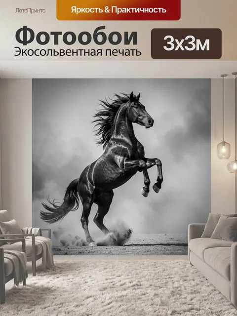 Фотообои Черный конь на дыбах