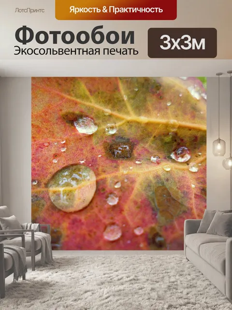 Фотообои Капли воды на листья осенью