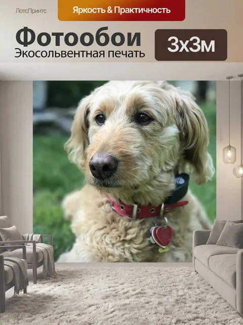 Фотообои Золотой каракули