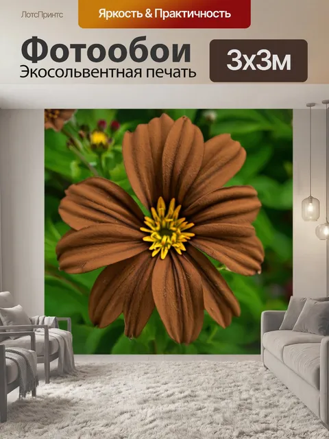 Фотообои распускающиеся коричневые цветы