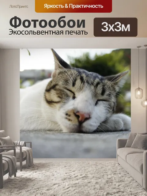Фотообои Кошка