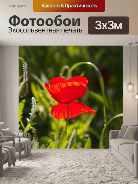 Фотообои Мака