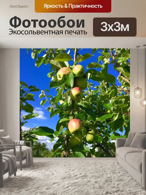 Фотообои Яблоко