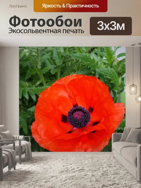 Фотообои Мак