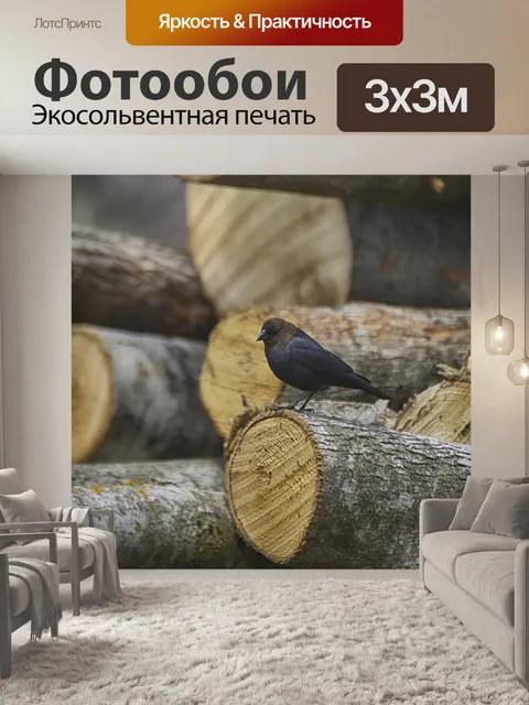 Фотообои Животное