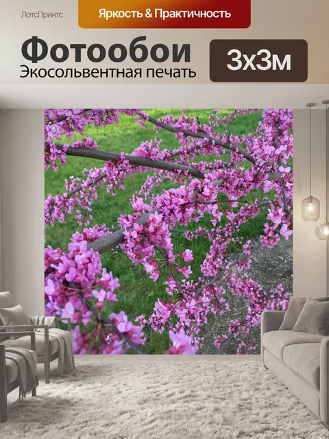 Фотообои Редбад