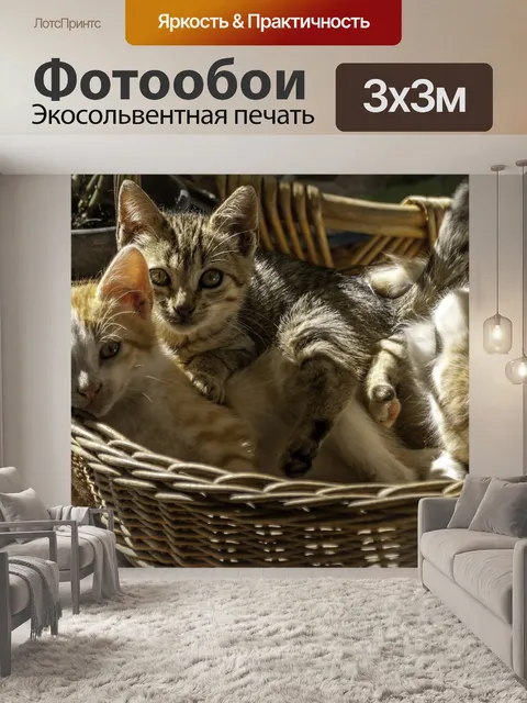 Фотообои Кошки