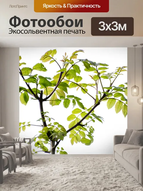 Фотообои зеленые листья и ветви