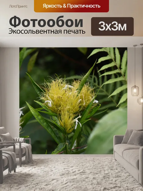 Фотообои Желтый цветок Блум Гавайи