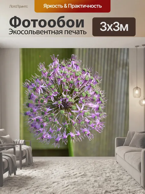 Фотообои Голландские цветы в садах 24