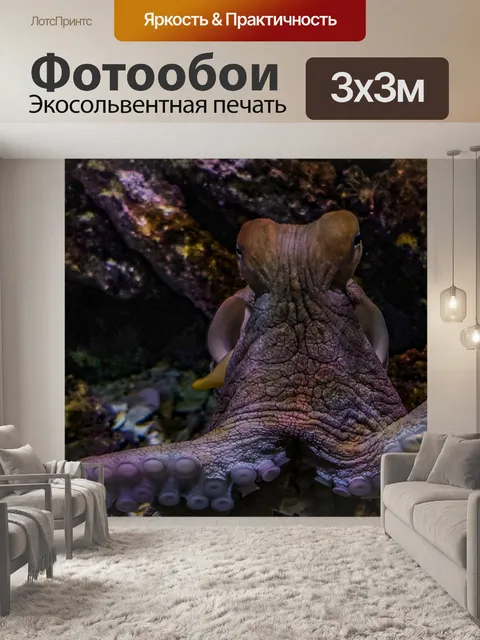 Фотообои Осьминог Глядя на камеру