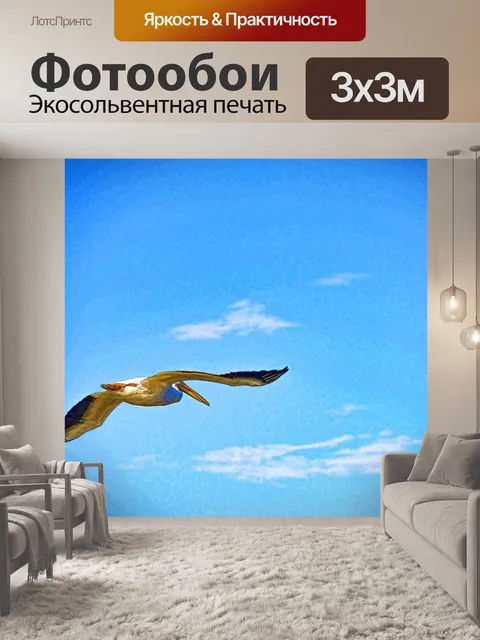 Фотообои Пеликан в полете