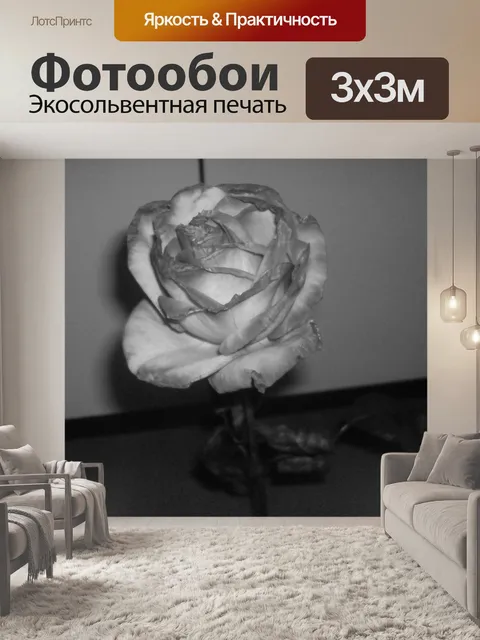Фотообои Роза Black White