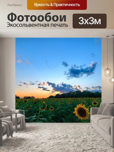 Фотообои Подсолнухи