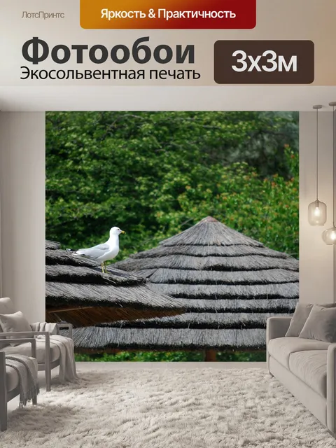 Фотообои Чайка
