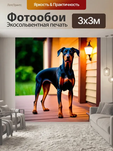 Фотообои собака, которая охраняет дом, стоящая на веранде, зоркий взгляд, вечерние огни, чувствуется тепло и…