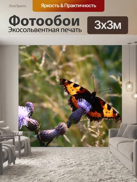 Фотообои Бабочка