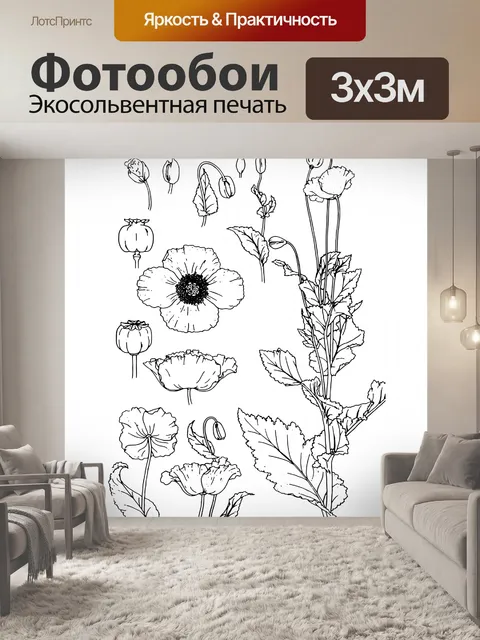 Фотообои Цветы мака линии искусства