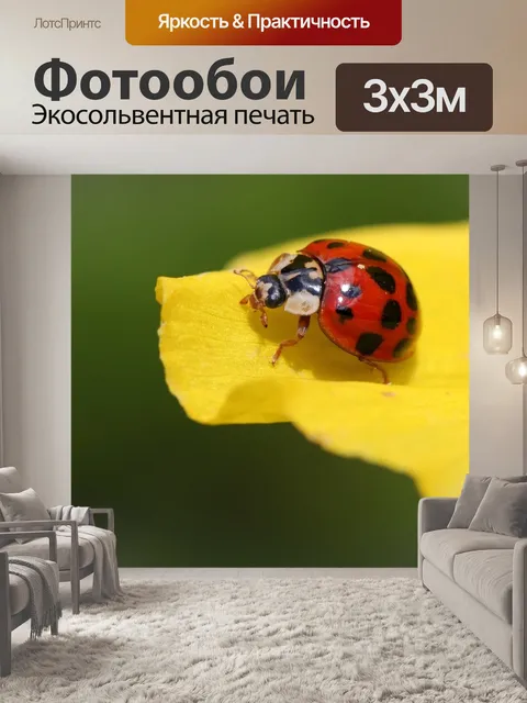 Фотообои Лист с Божья коровка